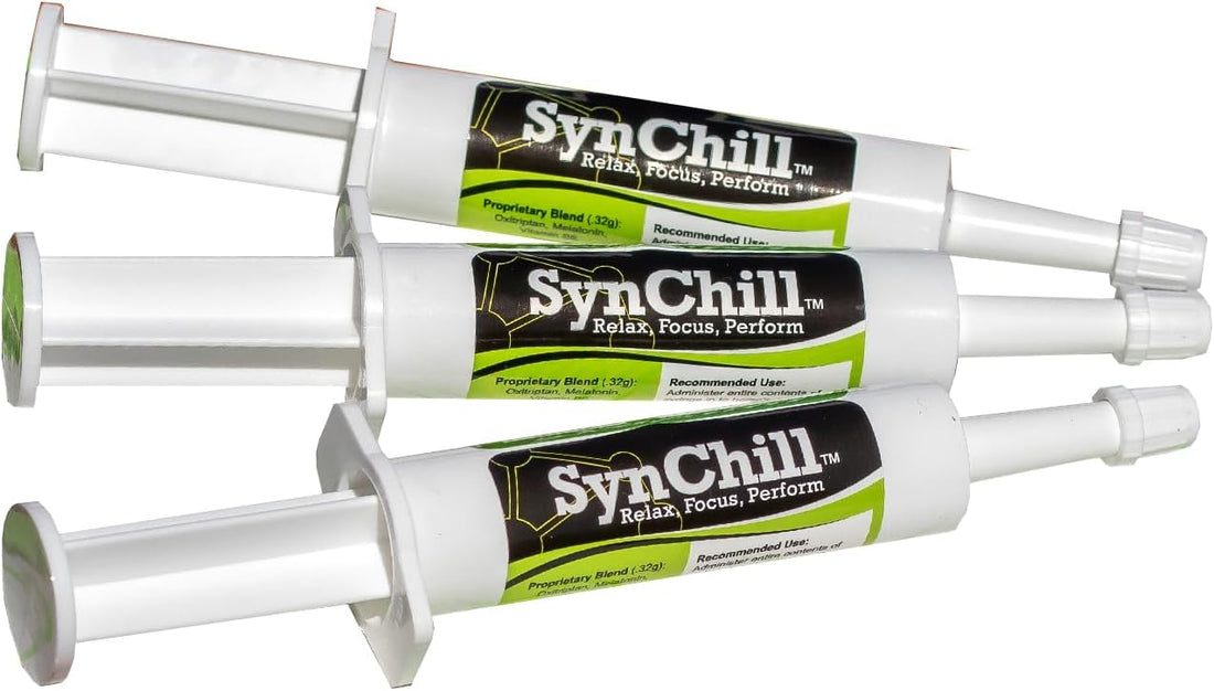 SynChill Horse Calming Supplement Gel, 3 Pack | Composure & Focus