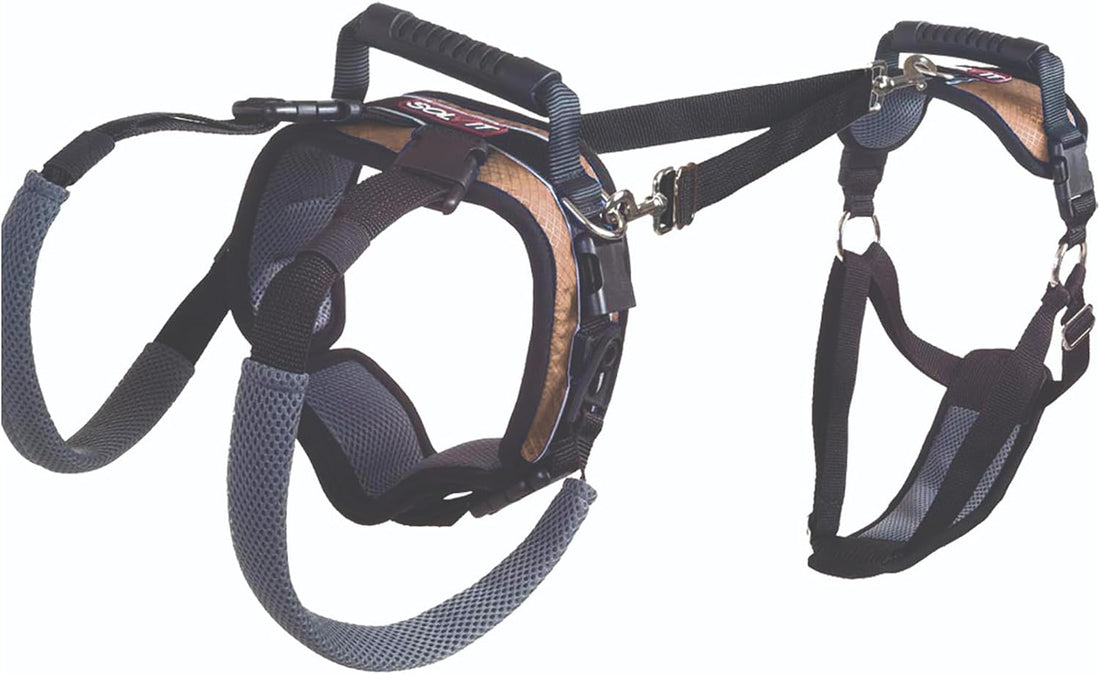 PetSafe CareLift Dog Lift Harness, Full Body