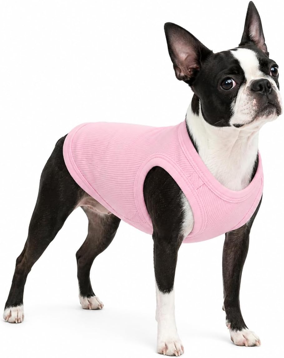 Lovelonglong 2019 Summer Pet Clothing