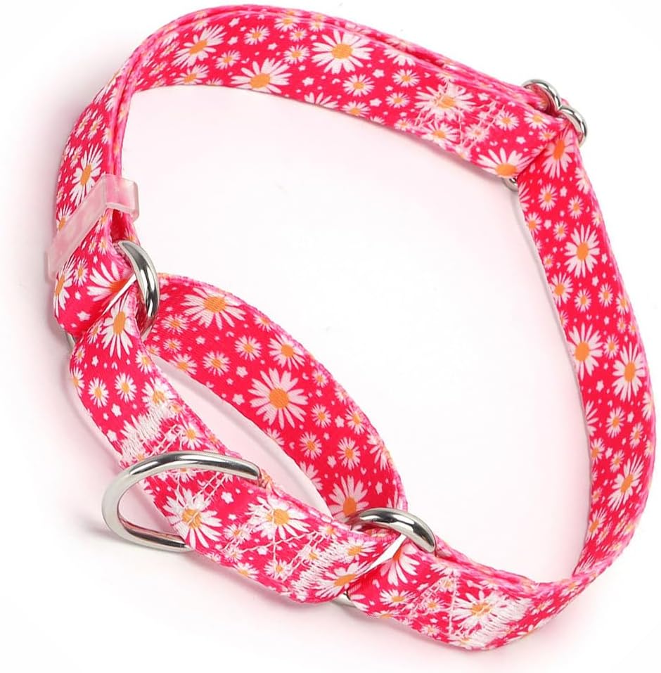 Martingale Collar for Dogs, No-Slip Escape Proof Choke No Pull Cinch