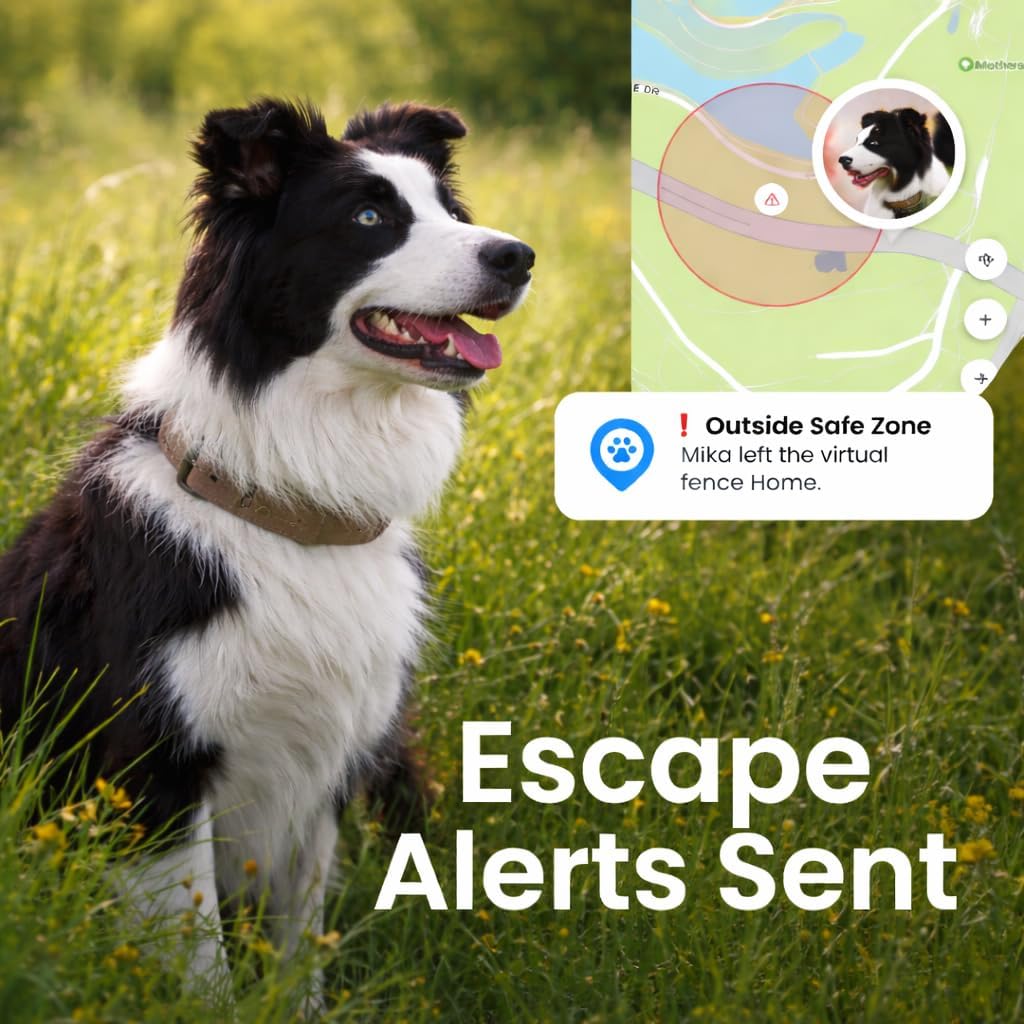 Pet GPS Tracker for Dogs with Real-Time Location Tracking