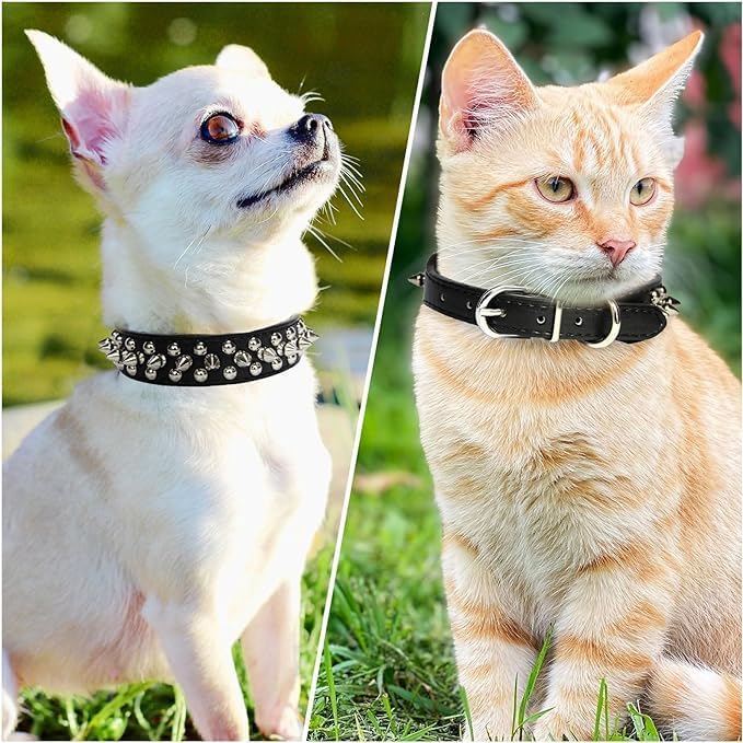 Spiked Dog Collars for Medium Dogs, Studded Spike Collar for Dogs