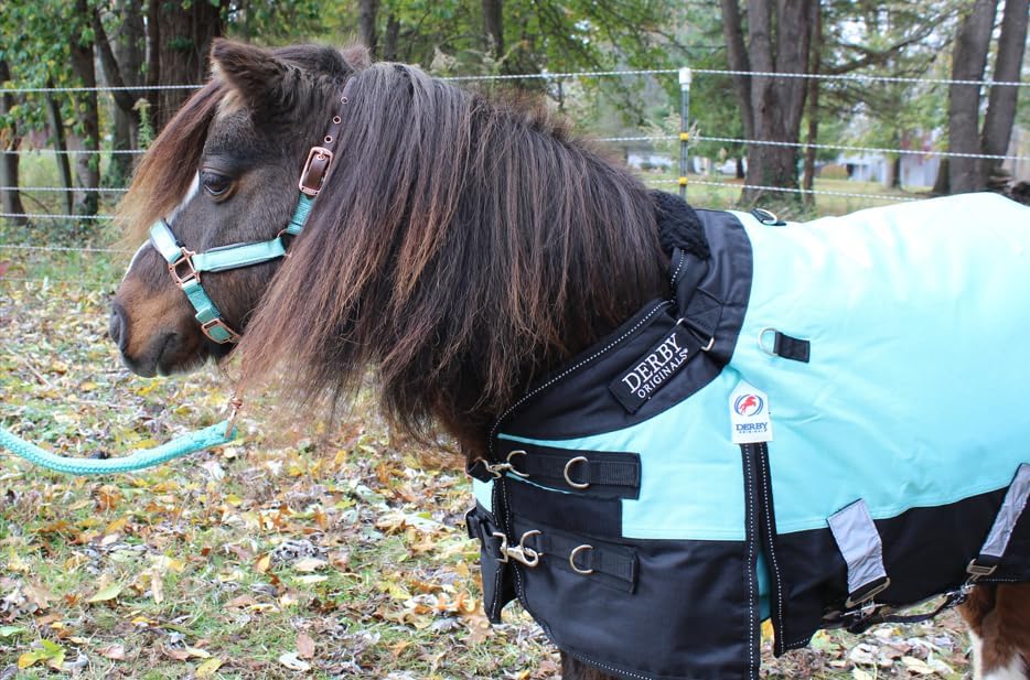 Derby Originals Nordic-Tough 1200D Heavyweight Mini Horse & Pony