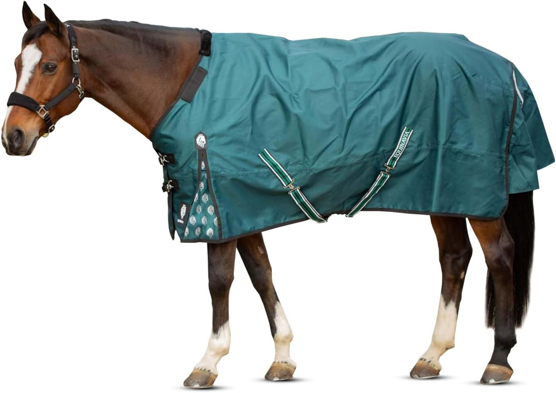 Equinavia Arktis Regular Neck Turnout Sheet - Carbon Gray - 78 in