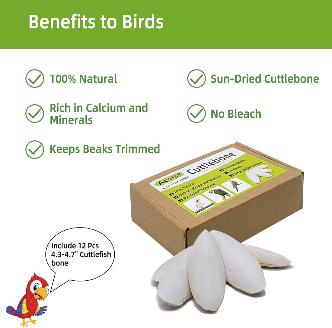 4.3"-4.7" Cuttlebone for Birds,Natural Cuttlefish Bone