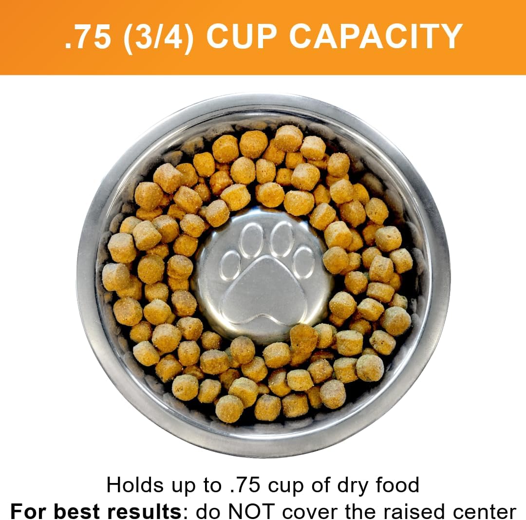 Neater Pet Brands Stainless Steel Slow Feed Dog Bowl