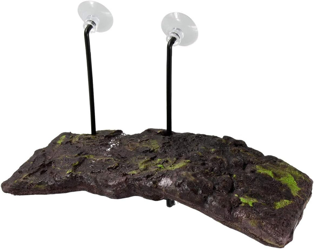 Zoo Med Mini Turtle Dock