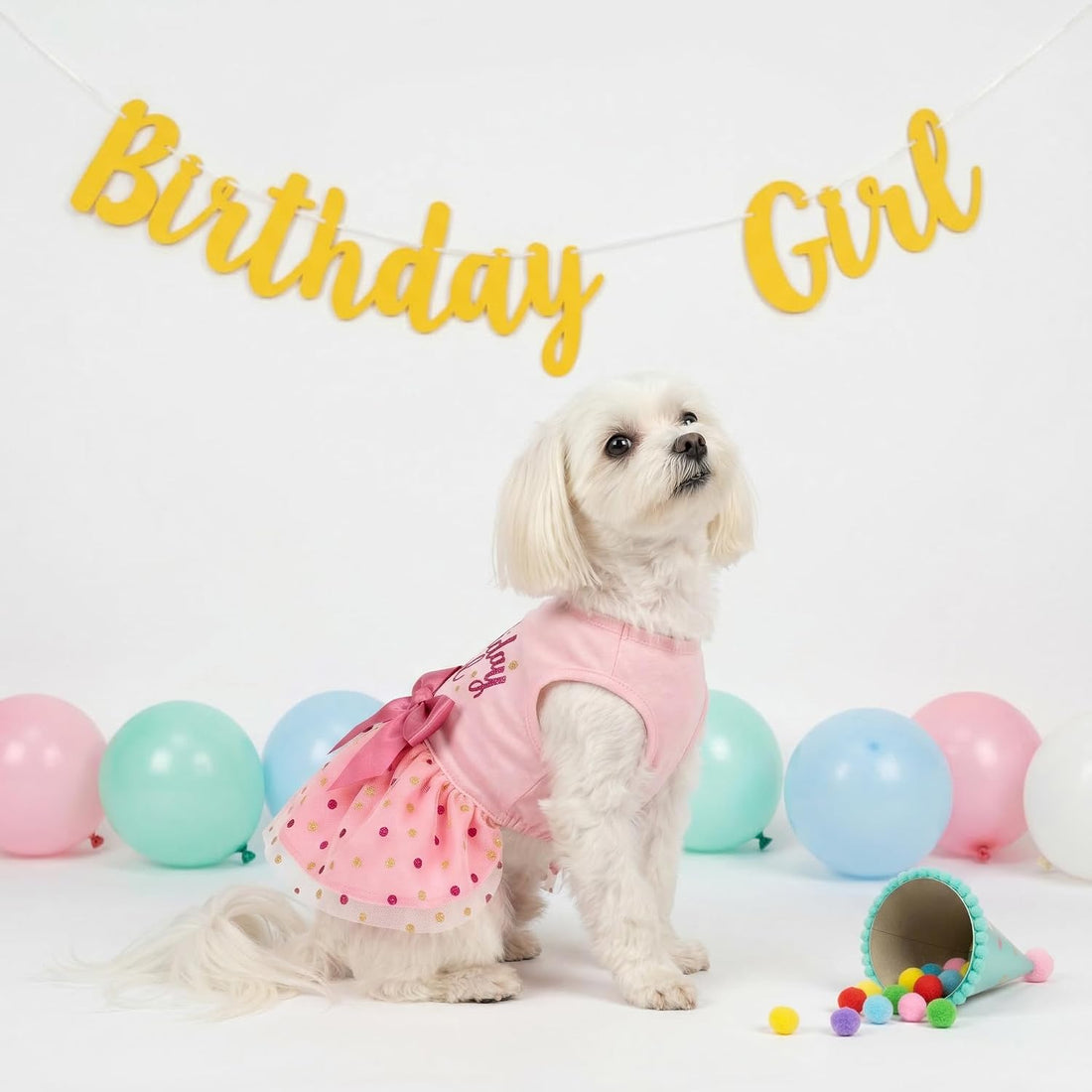 Fitwarm Birthday Girl Dog Tulle Dress, Dog Clothes for Small Dogs Girl
