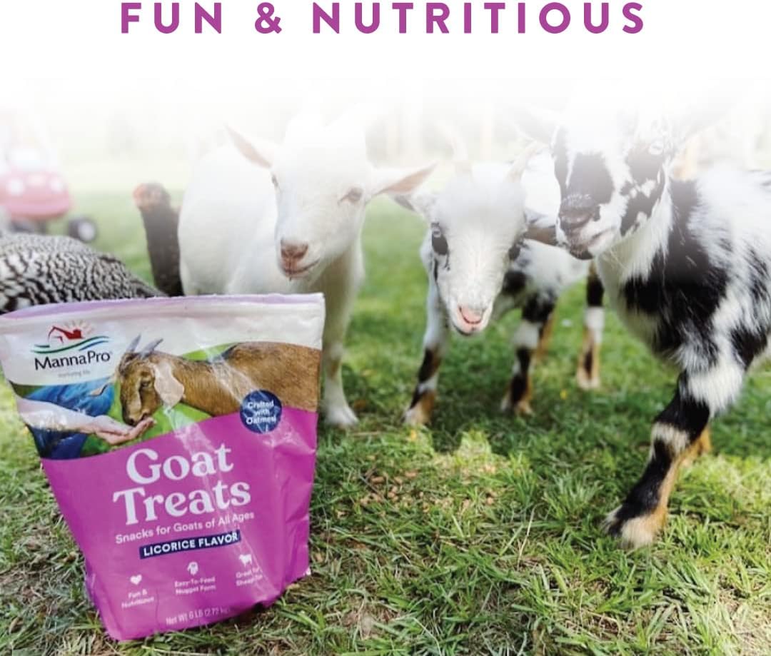 Manna Pro Licorice Goat Treats with Oatmeal, Made in USA, 6 lb Bag