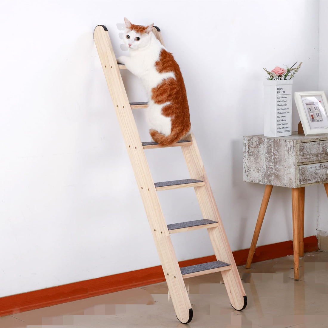 SHENGOCASE Solid Wood Wall Leaning Cat Ladder for Indoor Cats