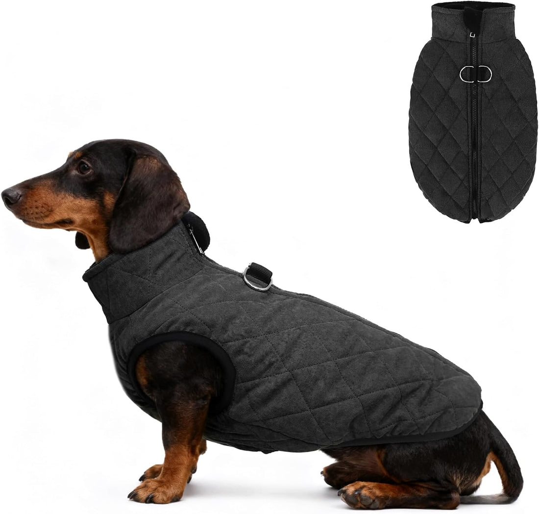 SCENEREAL Winter Dog Vest Coat with Harness Built in
