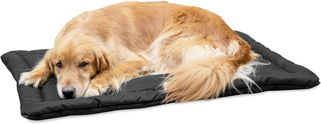 K9 Ballistics Tough Ripstop Dog Crate Pad, 41 x 27, Sage Green