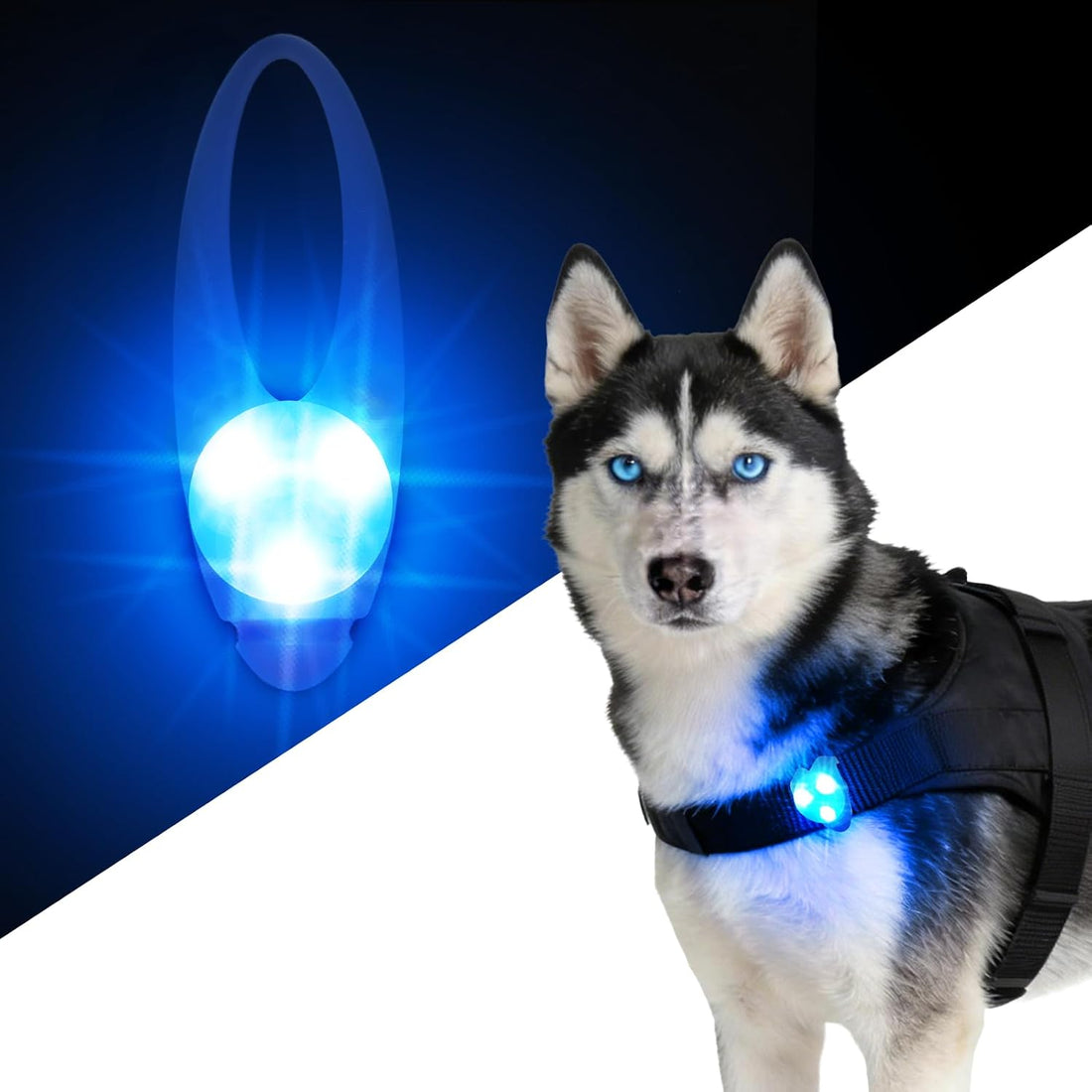 LaRoo Dog Lights - Led Collar Lights for Nighttime Walking