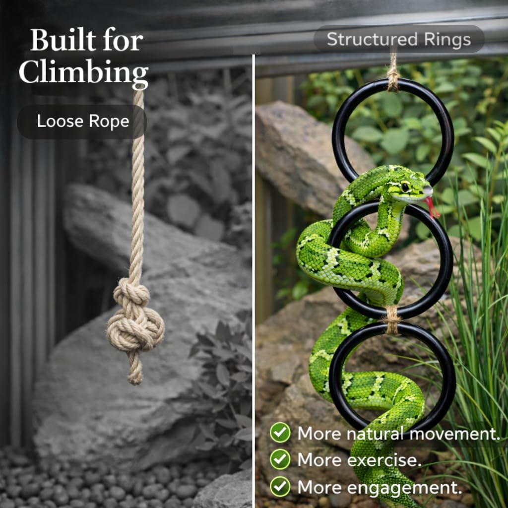 2PCS Snake Climbing Rings for Ball Python