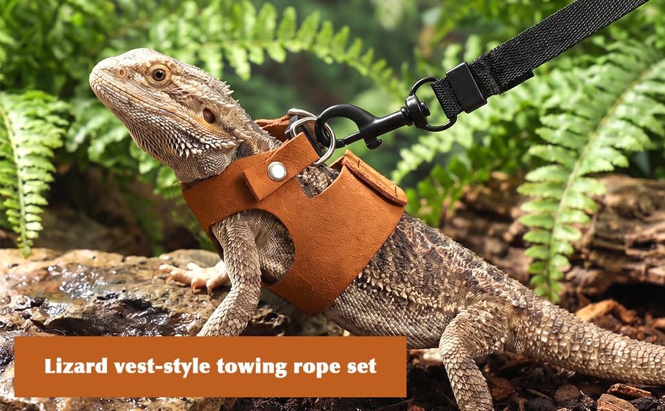 3PCS Bearded Dragon Harness and Leash Set