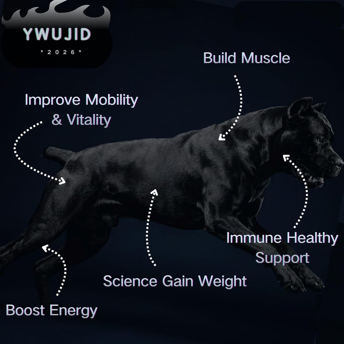 YWUJID Muscle Gain Chews Dog Weight Gainer Supplements with High