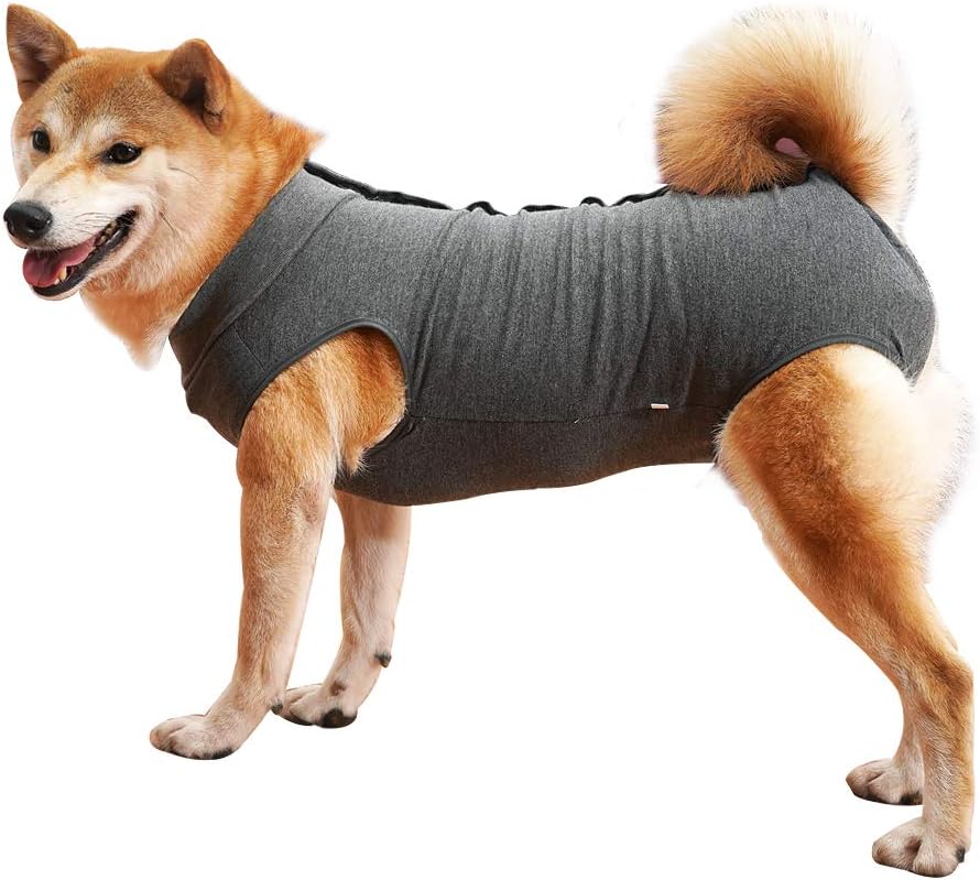 Dog Recovery Suit Abdominal Wound Puppy Surgical Clothes