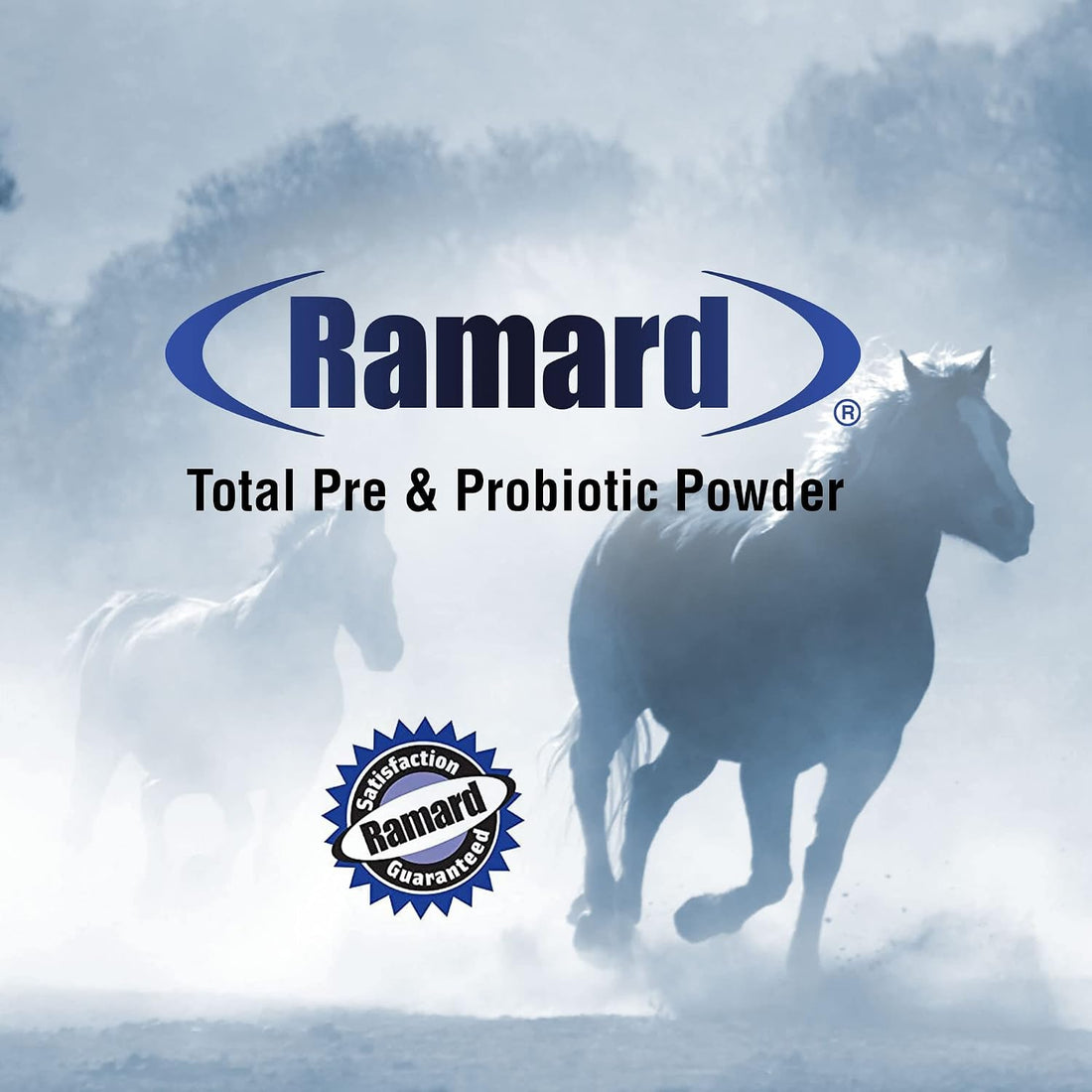 Ramard Total Prebiotic & Probiotic Equine Formula