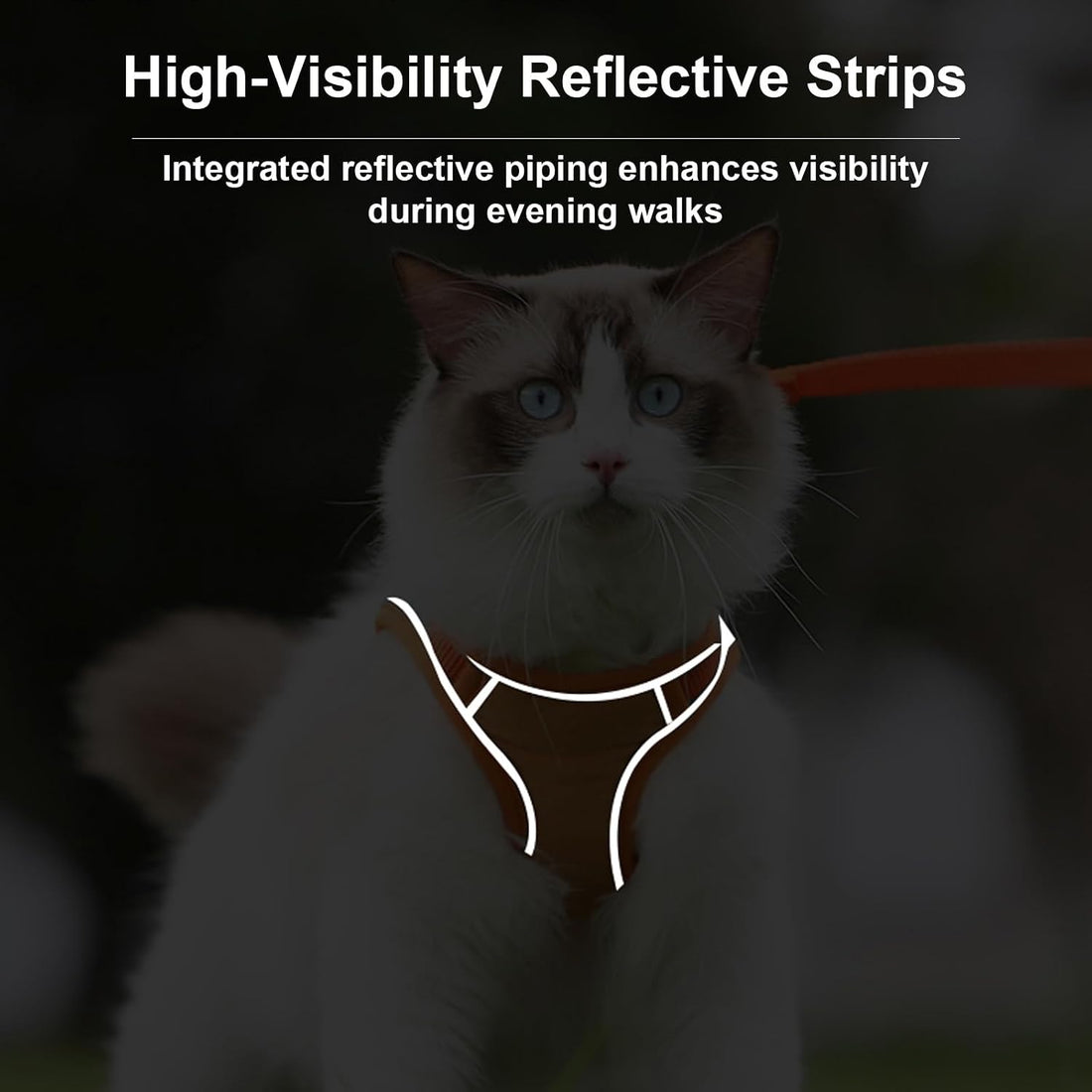 Cat Harness and Leash, Escape-Proof Cat Harness Set