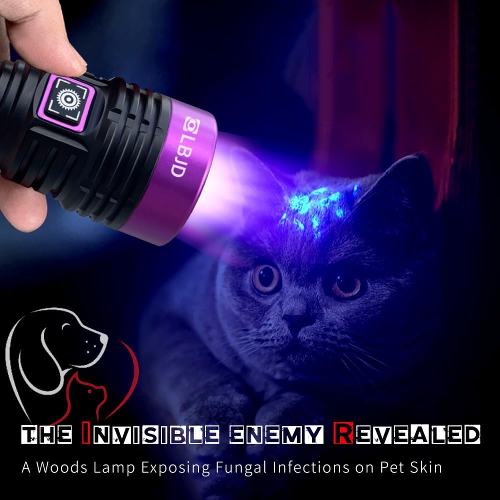 UV Black Light 365 nm Rechargeable Flashlight with Filter for Pet