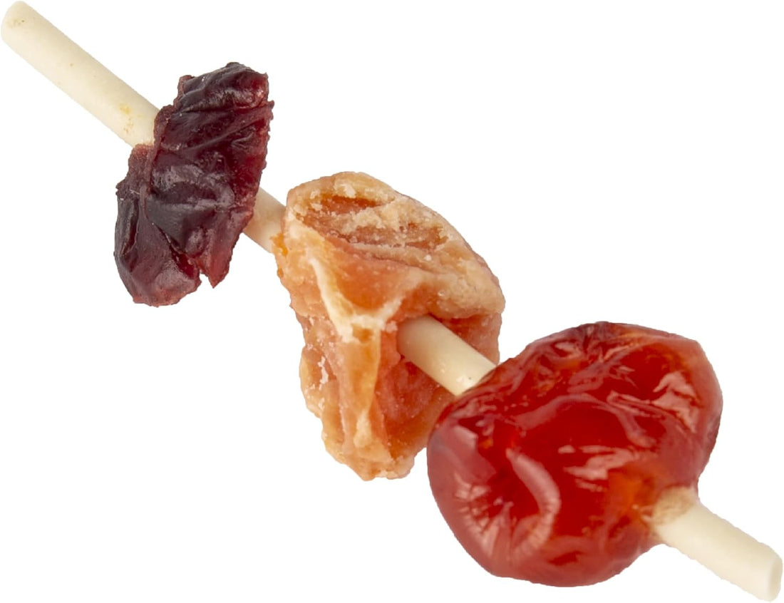 Wild Harvest Fruit Kabobs Bird Treat, 6 Count