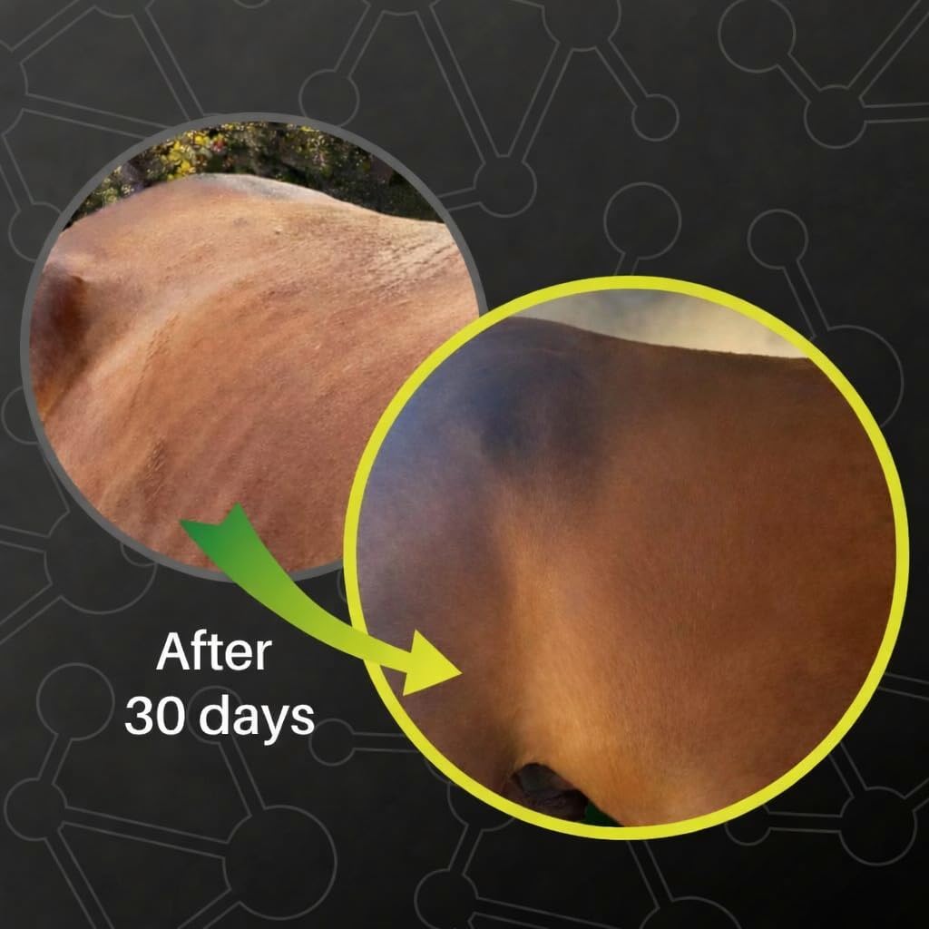 GastroMend® Digestive Support for Horses, 60 Doses
