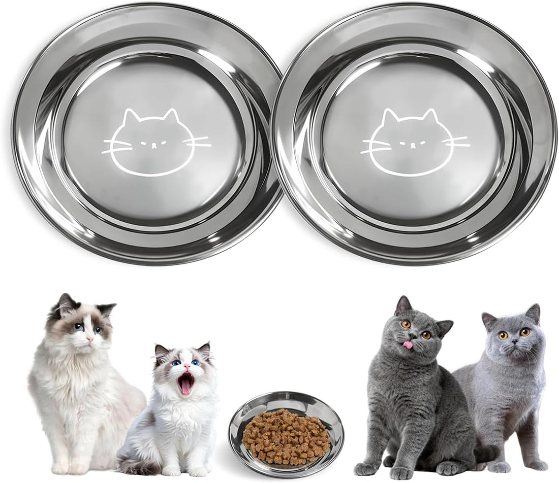 Stainless Steel Cat Bowls Food Dishes for Indoor Cats Cats Shallow