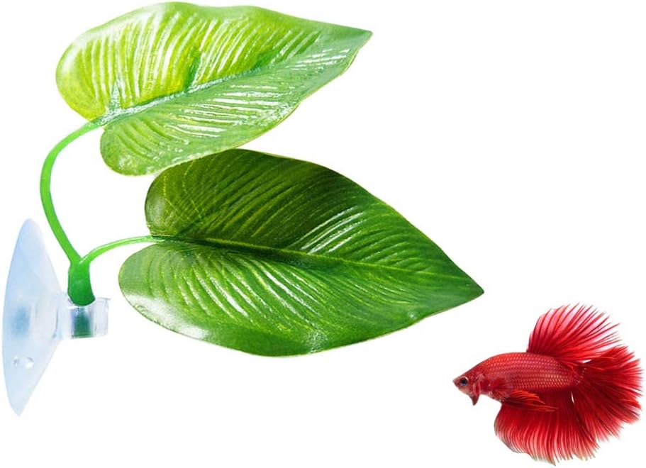 CousDUoBe 2 Pack Betta Fish Leaf Pad Improves Betta's Health by