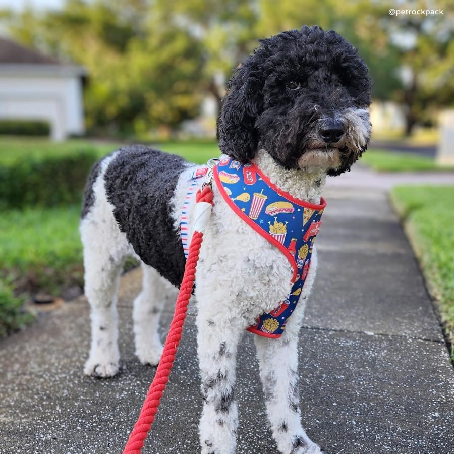 The Lucy & Co. Hands-Free 6-in-1 Rope Leash Bright Red