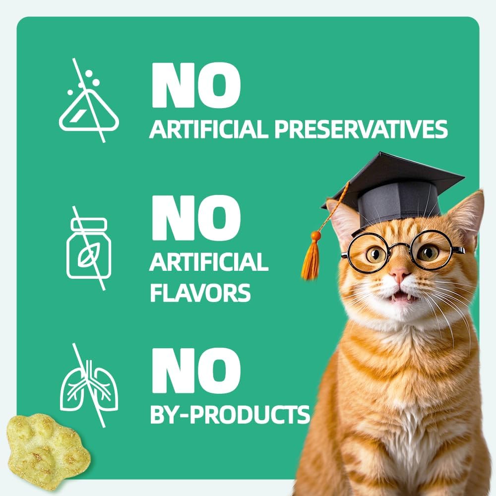 Wellix 13.05 oz Catnip Treats for Cats for Digestive Support