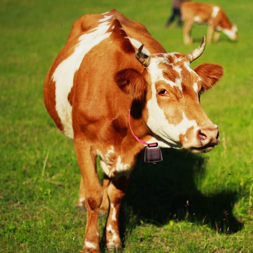5 Pack Grazing Copper Bells, Metal Cow Bells for Dogs