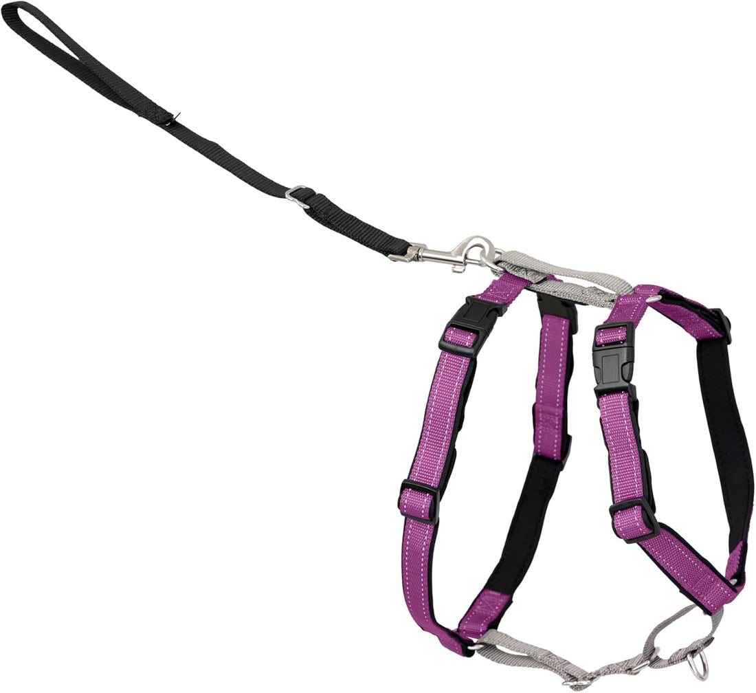 PetSafe 3 in 1 No-Pull Dog Harness - Walk, Train or Travel