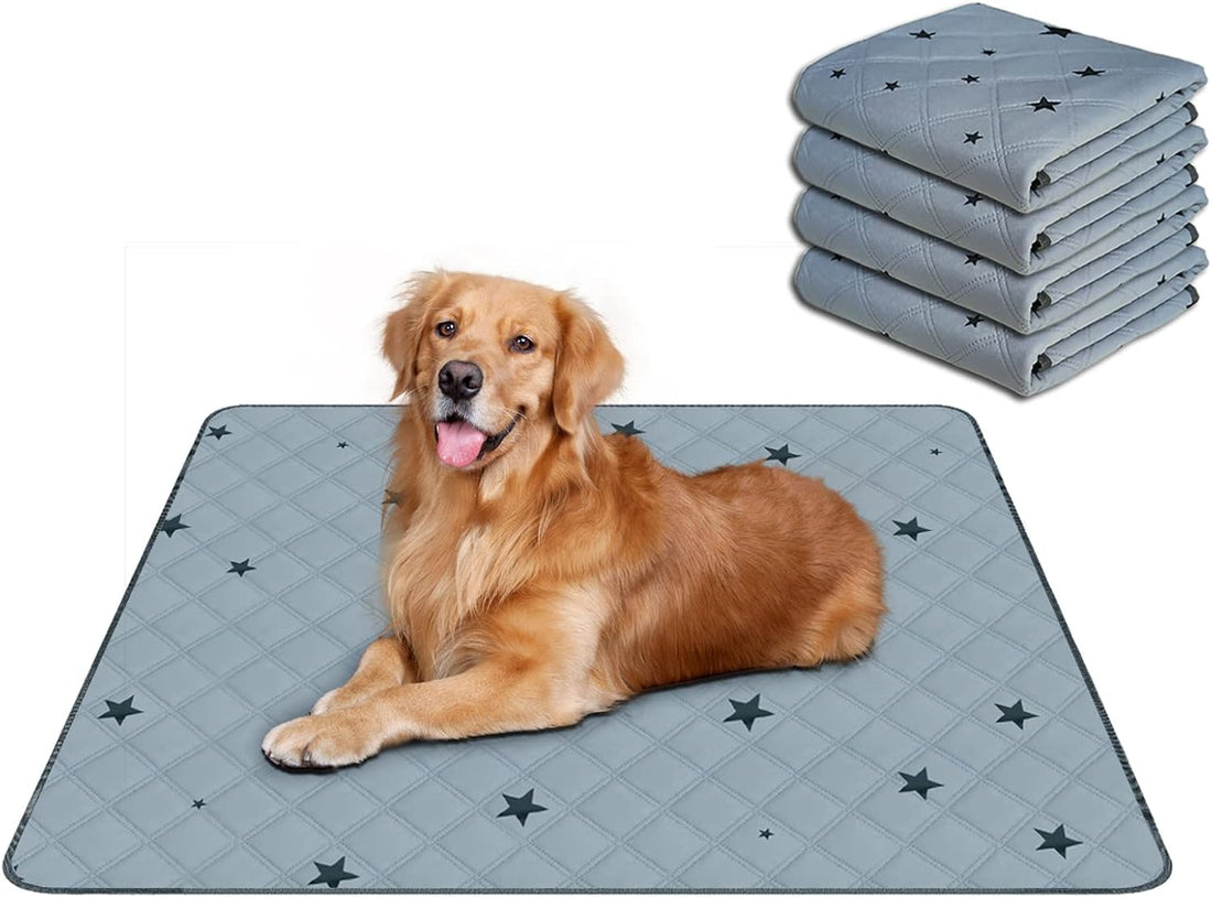 RIOUSSI Reusable Pee Pads for Dogs, Puppies. Washable, Absorbent