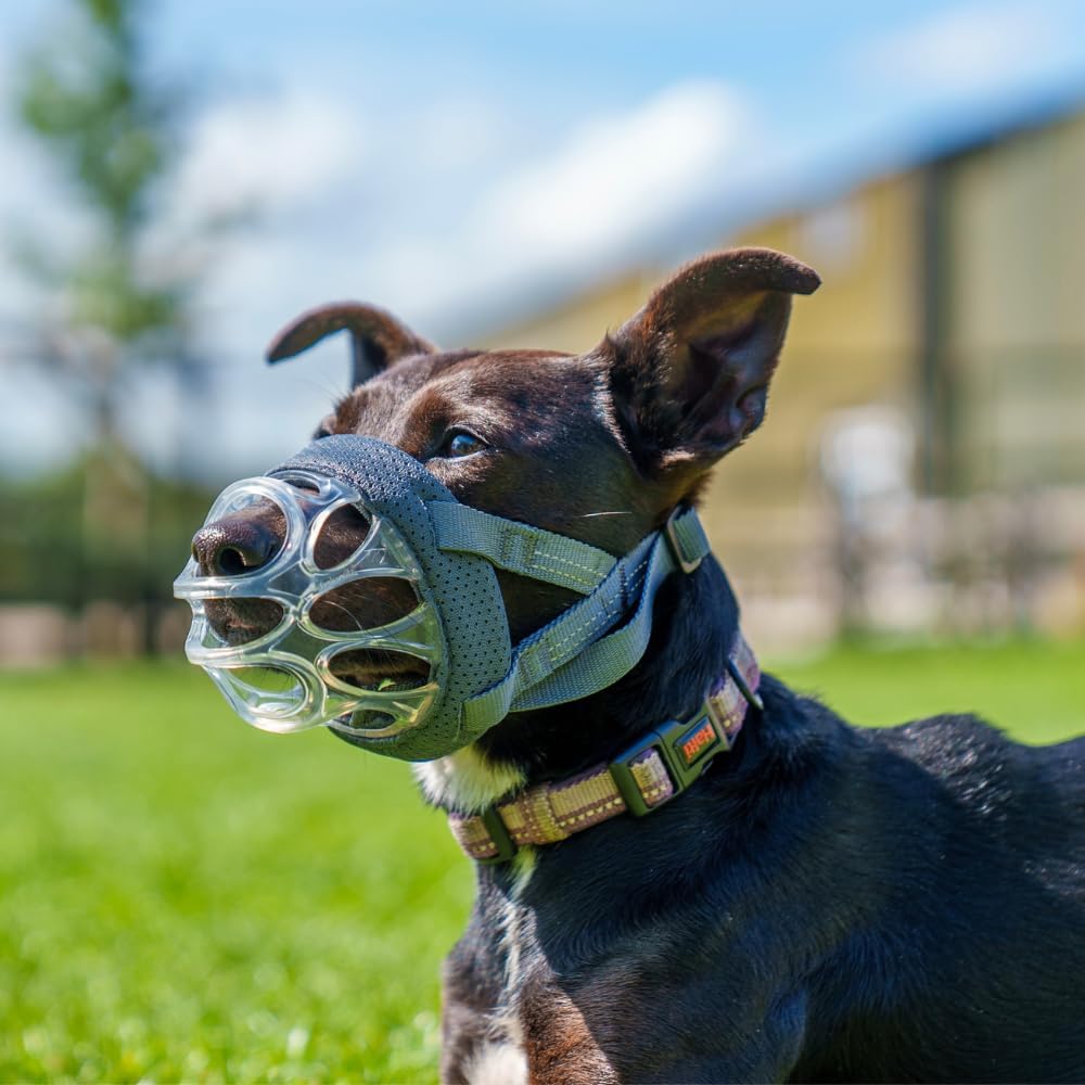 Baskerville INVISA Basket Dog Muzzle | Size