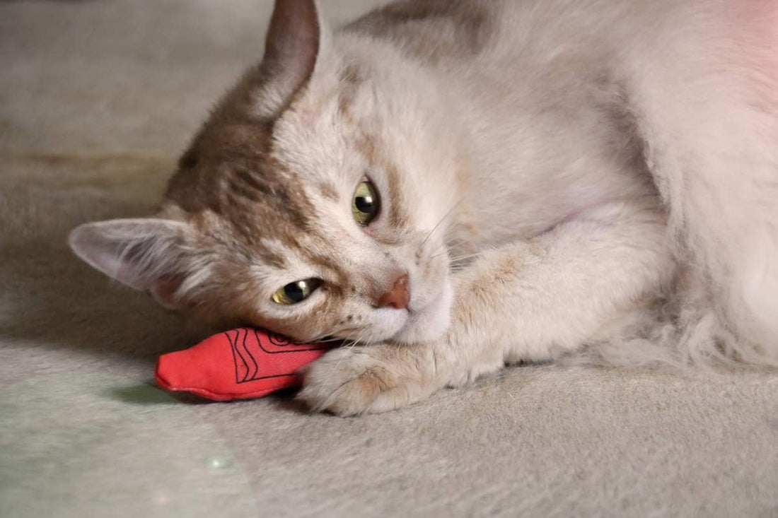 YEOWWW! Catnip Crayon, 3 Count