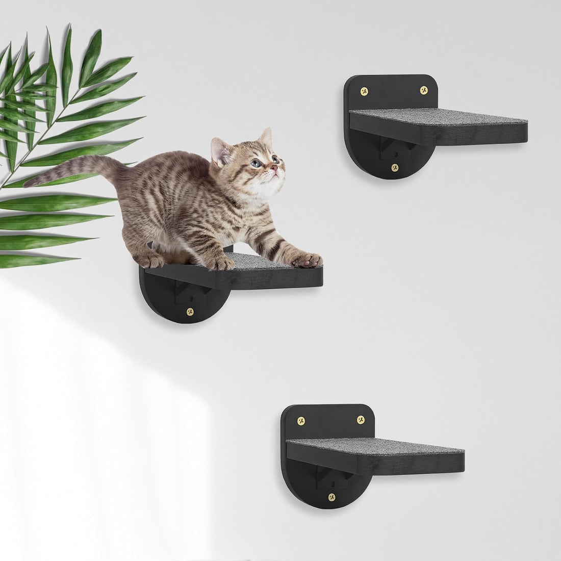 ESPETS Set of 3 Black Natural Sturdy Wood Cat Wall Floating Steps