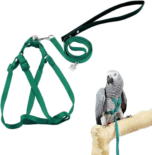 Adjustable Bird Harness and Leash for Yellow Naped Amazons Galah