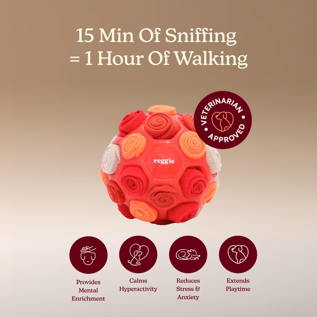 Reggie Snuffle Ball for Dogs