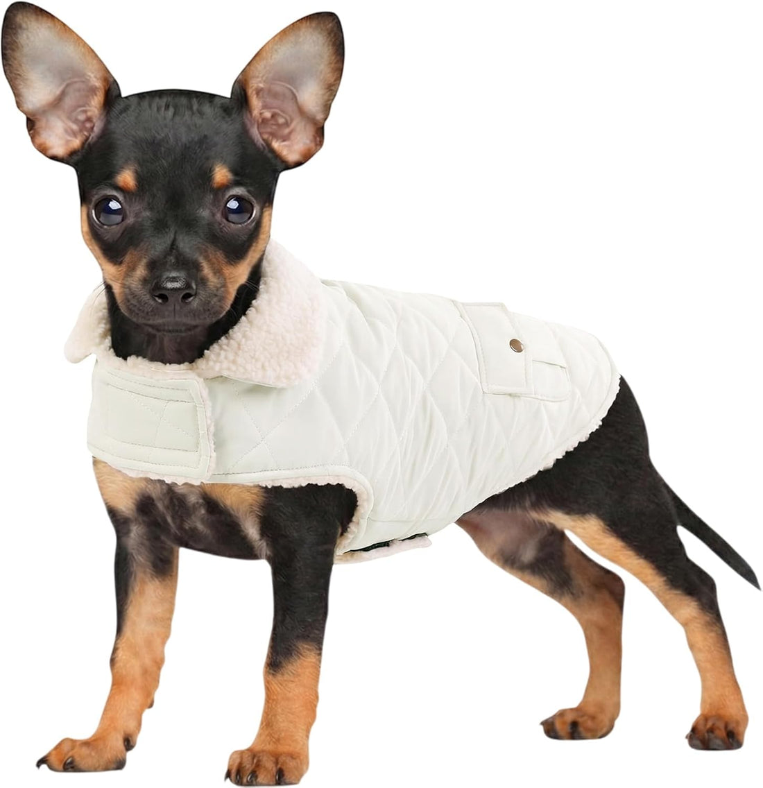 Extra-Small Dog Winter Coat, Puppy Plaid Warm Puffer Jacket
