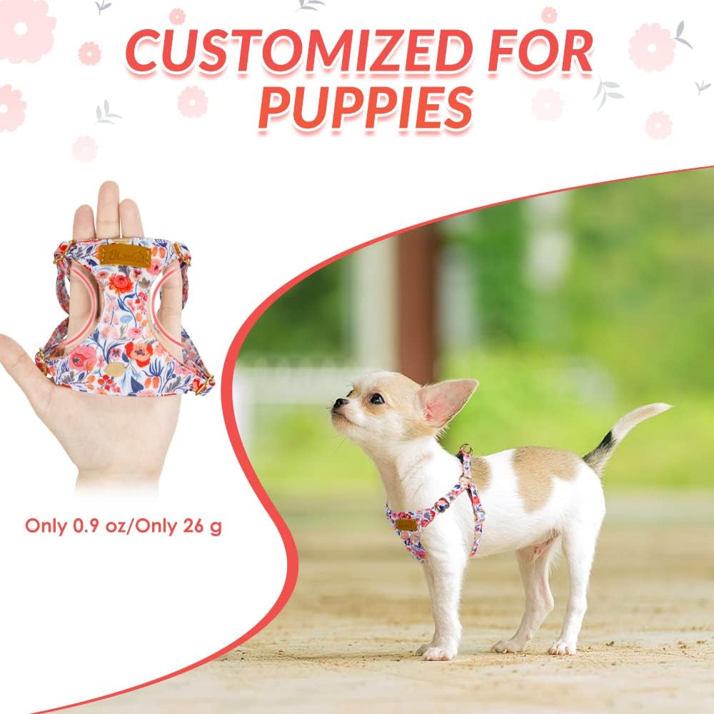 SlowTon No Pull Dog Harness with Leash for Small Medium Dogs