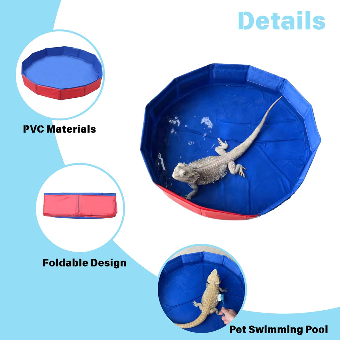 Foldable Bearded Dragon Bathtub with 2Pcs Reptile Mini Swimming Rings