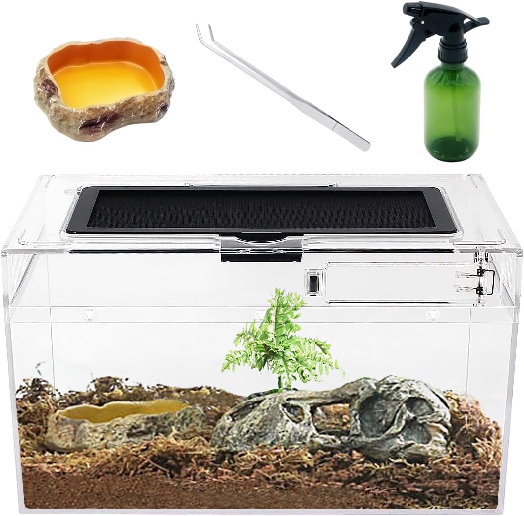 Mini Reptile Terrarium Set,11.8" x 7"x 6" Low Reptile Tank with Full