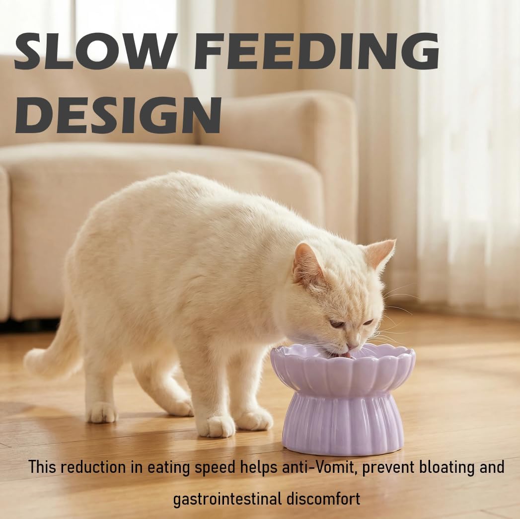 Ceramic Cat Slow Feeder, Raised Slow Feeder Cat Bowl