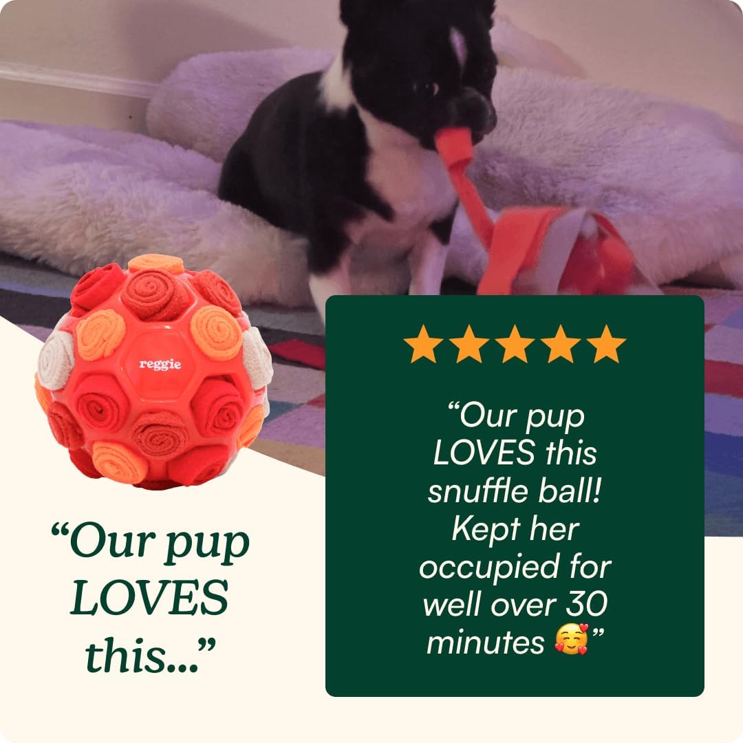 Reggie Snuffle Ball for Dogs