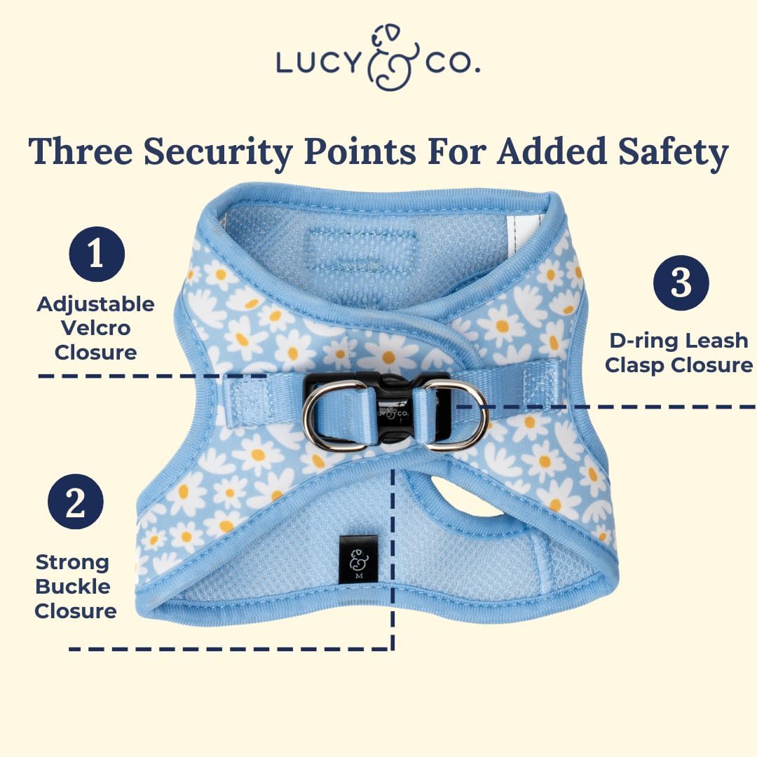 Lucy & Co. Simply Splendid Step-in Cat Harness & Leash Bundle
