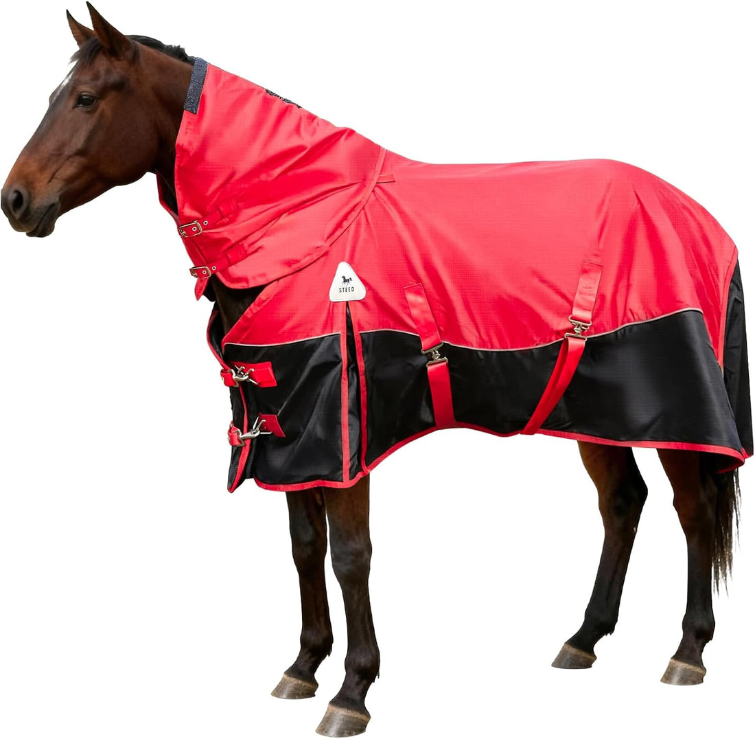 Horse Blankets Winter for Real Horses