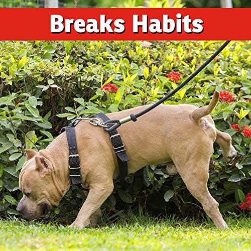 IMUSTGARDEN Dog & Cat Repellent: Stops Chewing, Natural, Pet Safe