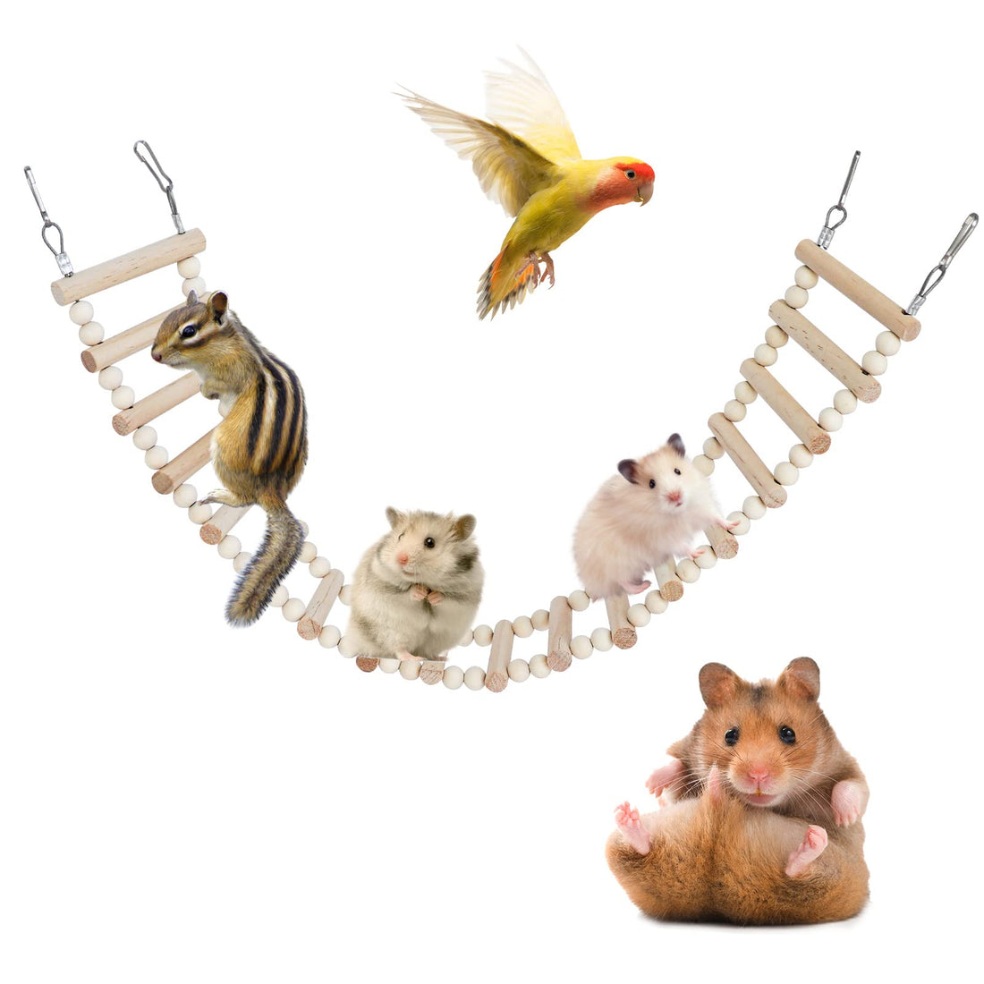Rat Ladder Bridge Toy, Rat Climbing Toys