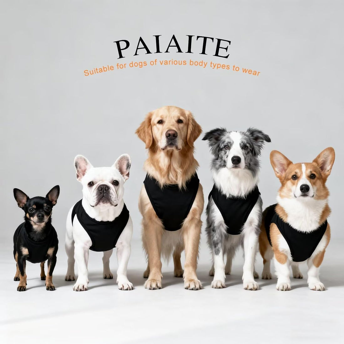 Discover Cozy Cotton Canine Wear: Breathable Soft