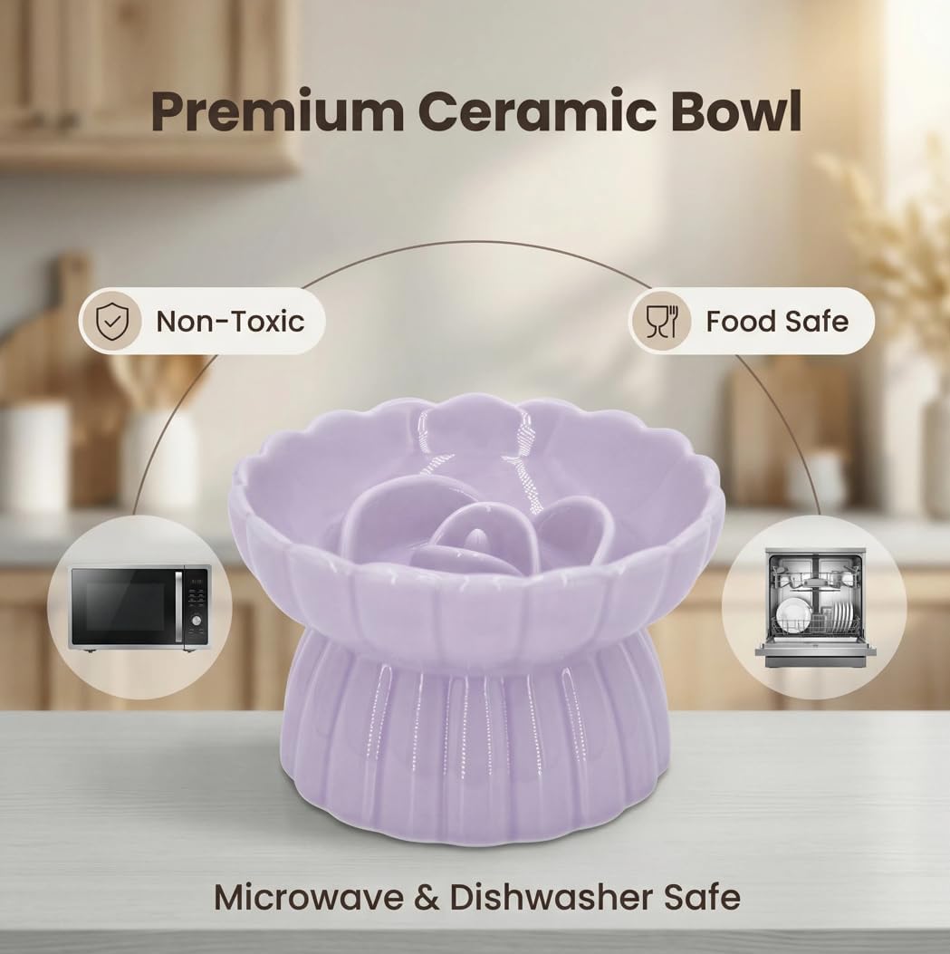 Ceramic Cat Slow Feeder, Raised Slow Feeder Cat Bowl